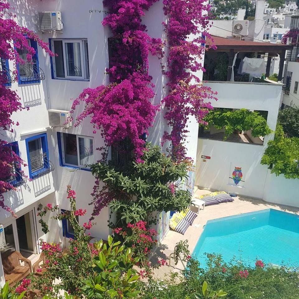 Eskici Hostel Bodrum Exteriér fotografie